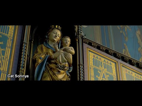 Pricesne 2020 Cat Sonnya ! COLAJ