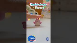 Video de Squish a Longs Pack x 8
