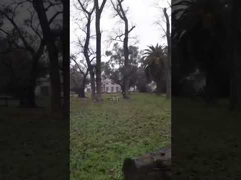 llueve en Casilda pcia de santa fe en estos momentos siendo las 11:58 am 18/6/26 #lluvia