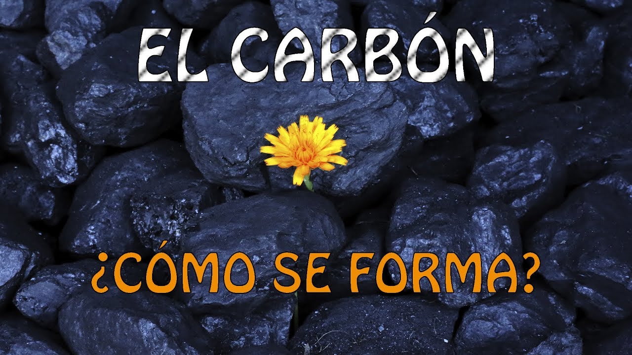❓La FORMACIÓN del CARBÓN (Carbonificación)