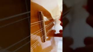 Ağladıkça saz. Bir acının öyküsü...🖤🥀#ahmetkaya #yılmazgüney #tuncelkurtiz  #love #youtube #muzik