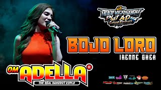 Download lagu BOJO LORO - IRENE GHEA || OM ADELLA | ANNIV 2Nd PLAT AD GAYA BEBAS | 07-09-2024 | YON ARMED BEKASI mp3 Download lagu BOJO LORO - IRENE GHEA || OM ADELLA | ANNIV 2Nd PLAT AD GAYA BEBAS | 07-09-2024 | YON ARMED BEKASI mp3