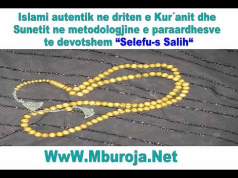 Sheikh Albani A janë tespit bidat