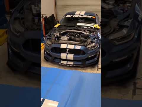 Most IMPORTANT modification to my 2019 Shelby GT350 #gt350 #shelby #mustang #ford #fordperformance