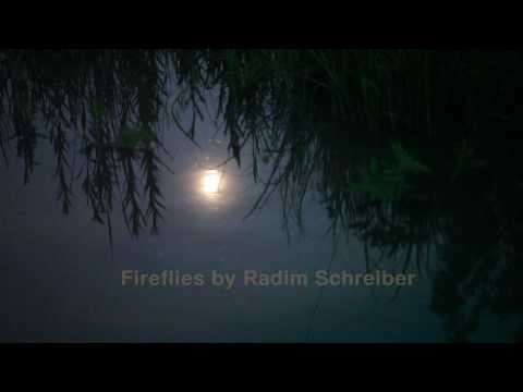 Firefly HD video