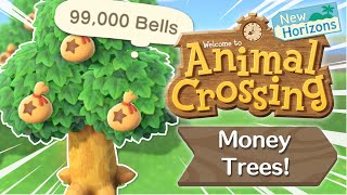 How Money Trees Work | Animal Crossing New Horizons