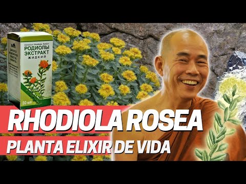 elixír az erekcióhoz a tojás merevedés után fáj