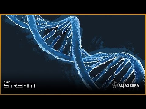 The Stream - Science and security of DNA testing