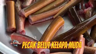 Download lagu PECAK BELUT KELAPA MUDA | JEJAK SI GUNDUL (01/11/21) mp3 Download lagu PECAK BELUT KELAPA MUDA | JEJAK SI GUNDUL (01/11/21) mp3