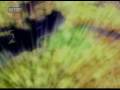 Dreamworks Pictures Universal Pictures Spyglass Entertainment