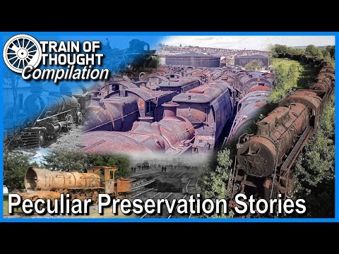 Train of Thought COMPILATION - Strange Preservation Stories