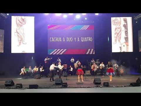 Cachua a duo y a cuatro - Cashua