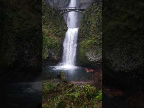Falak Tak - Udit Narayan & Mahalaxmi Iyer