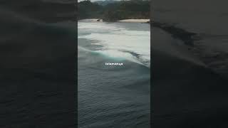 Download lagu Sampai Jadi Debu- Banda Neira #shorts mp3