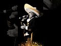 EL ADIOS A LA VIDA - VICENTE FERNÁNDEZ "CHENTE" 🟢⚪️🔴 #rancheras #paraelmundo #musicamexicana