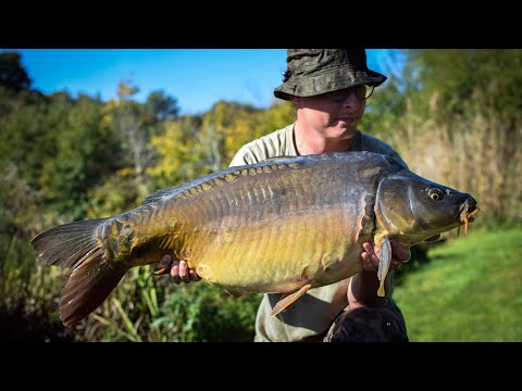 Boilie & More am Glatzauersee