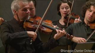 Download lagu W. A. Mozart: Horn Concerto No. 2 in E-flat major, K. 417, I. Allegro maestoso mp3 Download lagu W. A. Mozart: Horn Concerto No. 2 in E-flat major, K. 417, I. Allegro maestoso mp3