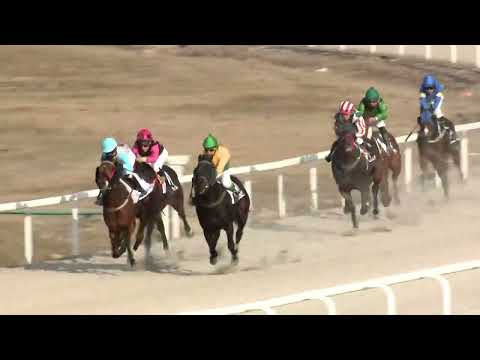 2022.03.20. 06. futam - PAPOLCZY GÉZA EMLÉKVERSENY HENDIKEP (II.o.) ( szintetikus pálya)