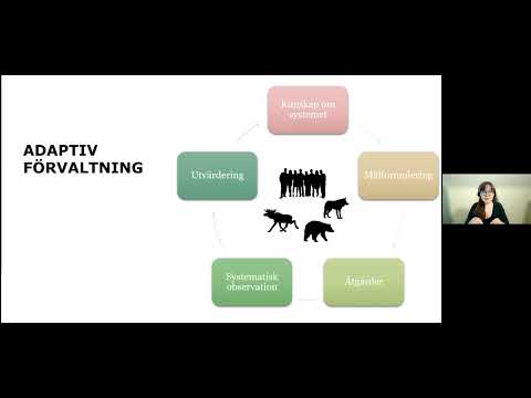Adaptiv viltförvaltning