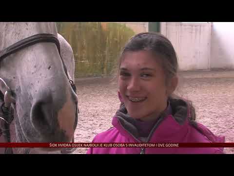 Veselje na Hipodromu Pampas – djeca iz Doma Klasje uče jahati