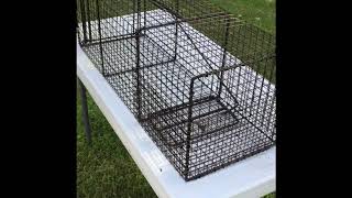 Little Wolf Cage Traps Introduction