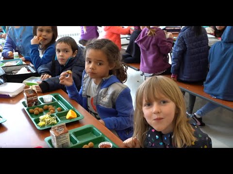 Kindergarten School Lunch