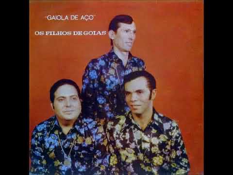 Os Filhos de Goiás   A Volta De Jesus