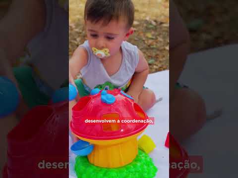 Cogumelo Didático e Torre Espiral 