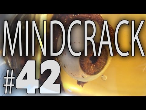 Mindcrack Number 42 - "Unscaffolding" (Z461)