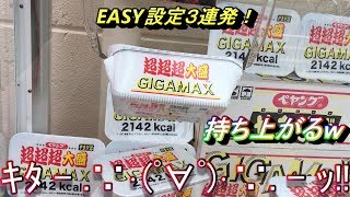 【クレーンゲーム】EASY設定台でいろんな景品を安価でゲットしてみる