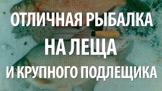 Зимняя рыбалка в подмосковье на леща