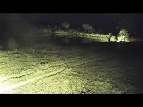 Djuma Private Game Reserve Live Stream