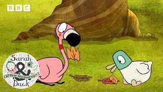 Leaf Chase | 10th Anniversary Duck Shorts | Sarah and Duck Official