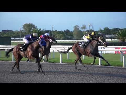 230319 c08 ATENEA FEVER