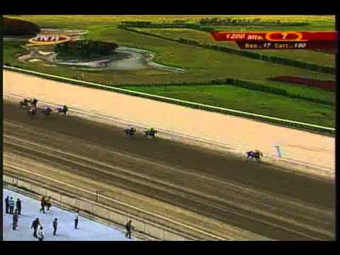 Resumen Sábado, 07 de Marzo de 2015 - La Rinconada