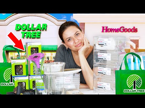 I Bought Dollar Tree Home Goods You'd NEVER Expect to Find at Dollar Tree