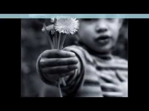 Dar-te-ei - Marcelo Jeneci (legendado)