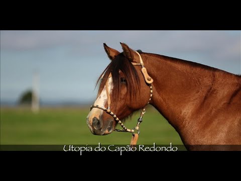 Utopia of Capão Redondo, the mother of those that everyone wants to have at home.
