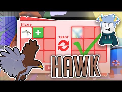 YouTube video about: How much do hawks cost?
