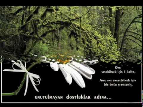 emin senel son isteğim yari görmek