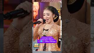 Download lagu Lanange jagad dadio koyo Arjuno by Niken Salindry #videoshort mp3