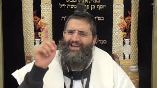 הרב אופיר טנג'י - הלכה בפרשה -פרשת וישב - המשך דייני הליכה לבית המדרש(שיעור 5 בס"ד)