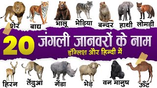 20 wild animals name in english and hindi with pic