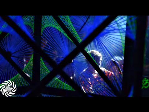 Tribal Roots (November 2013 - Official Aftermovie)