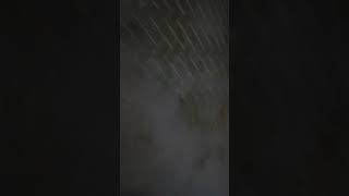 Mercedes S202 C220 D Bj. 1996 smoke / Rauch / Qualm