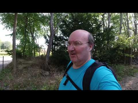MongoTV_3530 - Danish Vlog - Del 2 - Skovtur i Frederiksdal LØRDAG 24.August 2019