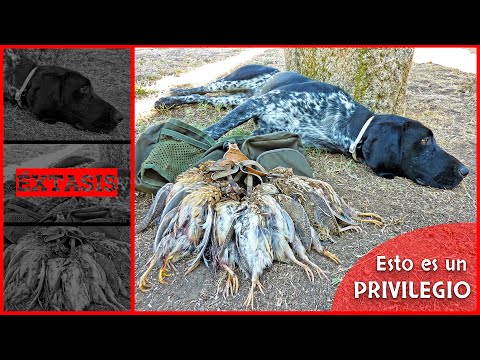 🔴 Estaría TODA MI VIDA haciendo esto…