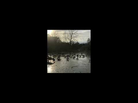 FLL Hi-Fi Sessions #41