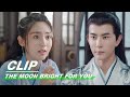 Clip: Another Rival? Check Lin's Bumpy Love Road | The Moon Brightens for You EP15 | 明月曾照江东寒 | iQIYI