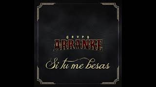 Si Tú Me Besas Lyrics English Translation